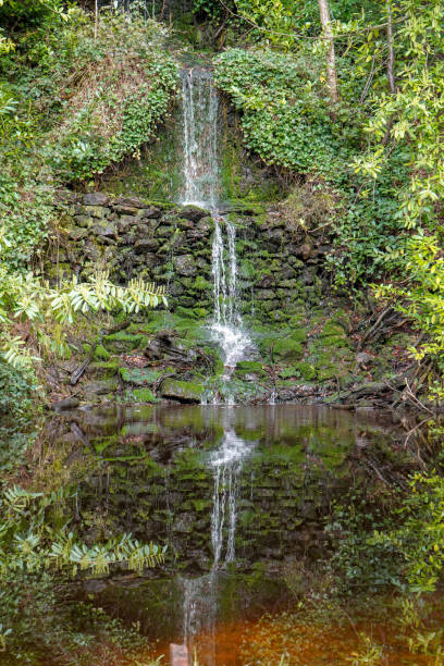 istock Small waterfall with lush green foliage 1184891888