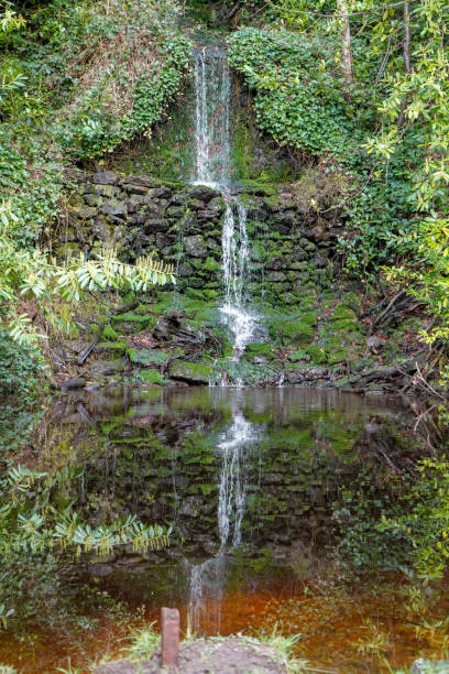 istock Small waterfall with lush green foliage 1184892006