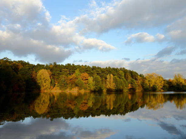 istock Autumn lake with reflections, blue sky and white clouds 1184895811