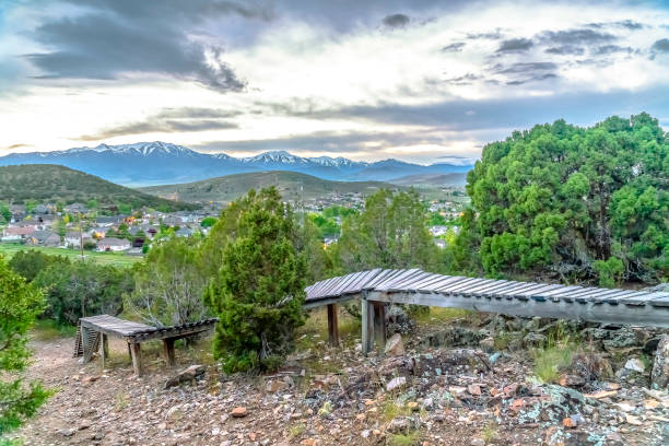 istock Elevated boardwalk through woodland with mountains behind 1184896106