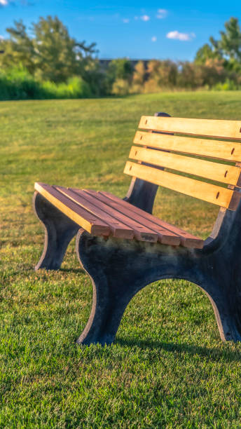istock Vertical frame Focus on an empty outdor bench against short green grasses on a sunny day 1184897329
