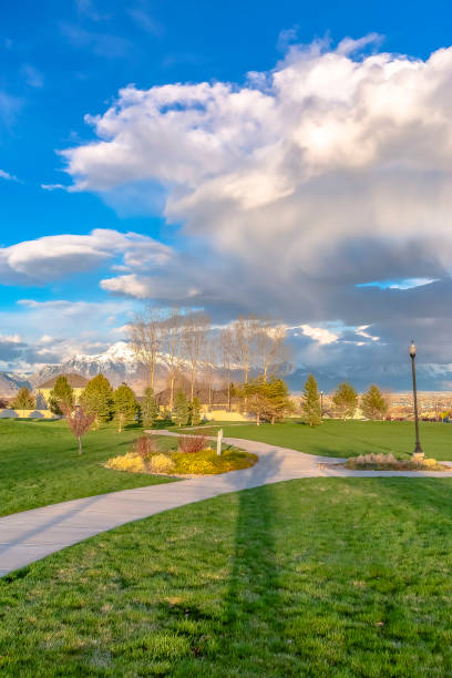 istock Footpath through a rural park at sunset 1184897601