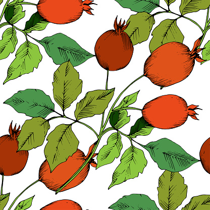 Vector autumn red rose hip plant. Plant botanical garden floral foliage. Seamless background pattern.Vector leaf for background, texture, wrapper pattern, frame or border.