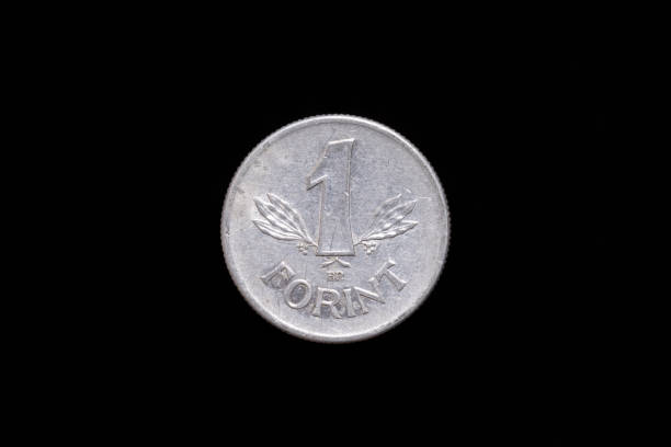 Old Hungarian 1 Forint coin from 1977, reverse