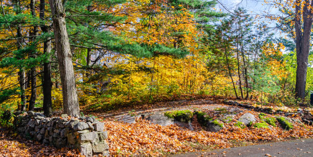 istock Low stone wall bordering trees and a granite rocks coverd in fallen leaves 1184901128