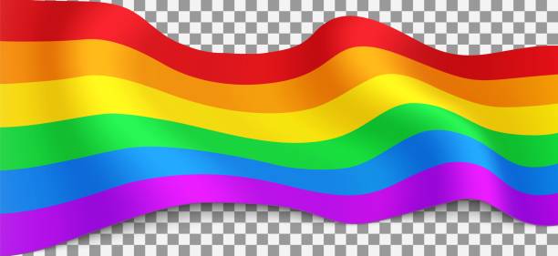 ilustrações de stock, clip art, desenhos animados e ícones de long rainbow lgbt flag on transparent background. - bi sexual illustrations