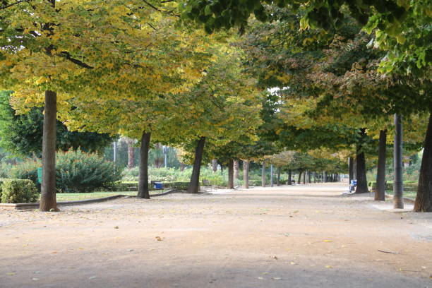istock Federico Garcia Lorca park 1184902484
