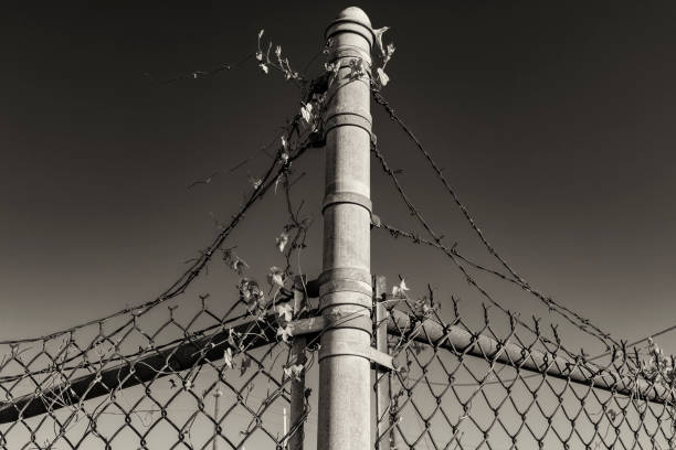 istock Chain Link Fence 1184915755