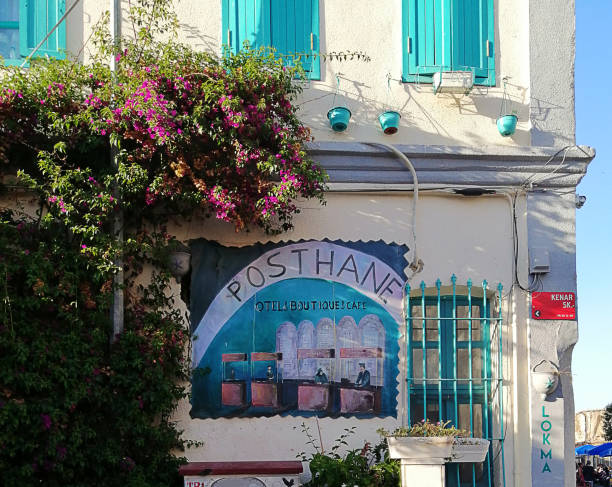 Bozcaada Tenedos Çanakkale, Turkey - July 3, 2019: View of Bozcaada Island streets, people on the island for holiday. Bozcaada island is a municipality and district governorate in Canakkale Province, Turkey. The old name of island is tenedos. ipomoea purpurea stock pictures, royalty-free photos & images