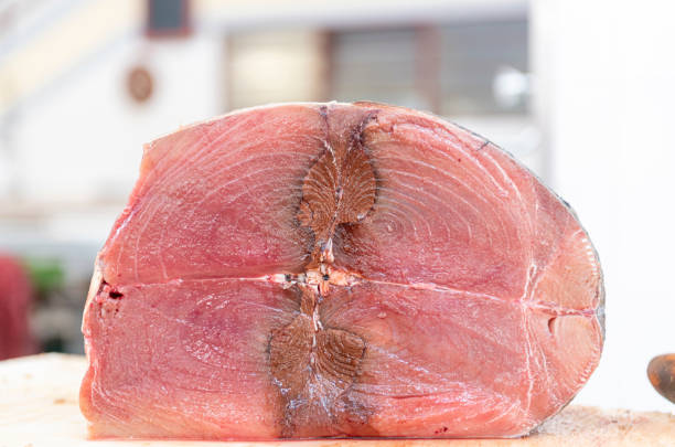 świeżego tuńczyka na rynku - tuna steak tuna prepared ahi meat zdjęcia i obrazy z banku zdjęć