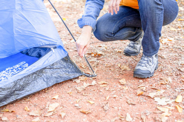 istock Unknown woman camping in forest with tent. 1184919752