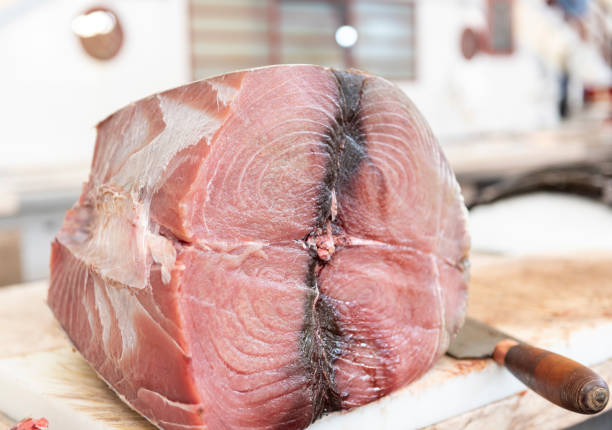 시장에서 신선한 참치 - tuna prepared ahi food tuna steak 뉴스 사진 이미지