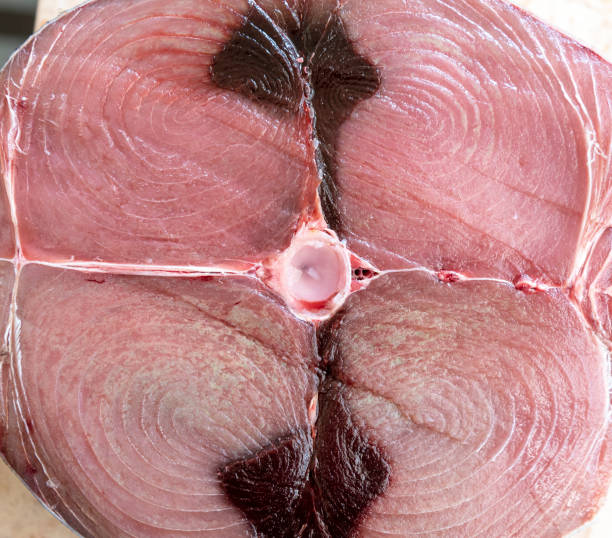 świeżego tuńczyka na rynku - tuna steak tuna prepared ahi meat zdjęcia i obrazy z banku zdjęć
