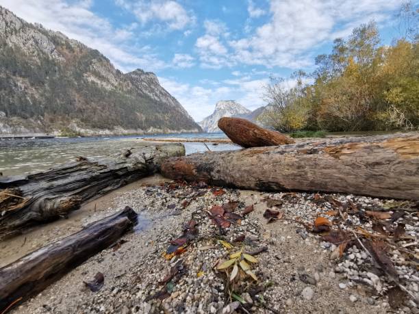 istock A sunny autumn day at the lake 1184921176