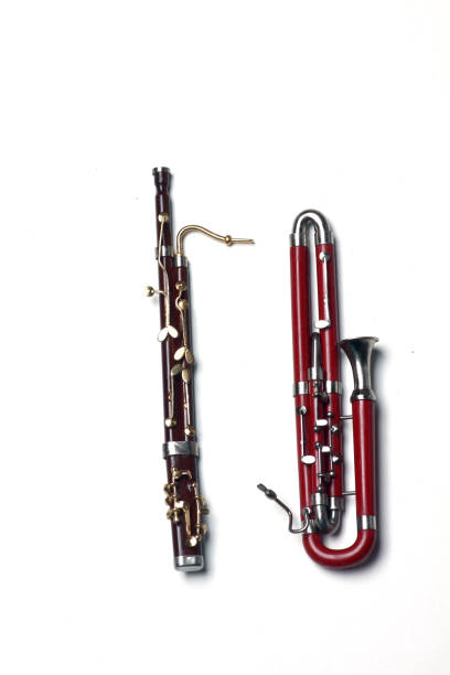 bassoon and contra-bassoon isolated on white background bassoon and contra-bassoon isolated on white background flat lay contra bassoon stock pictures, royalty-free photos & images