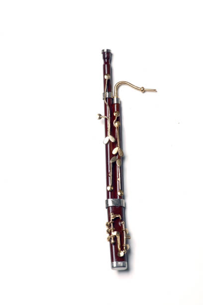 bassoon isolated on white background - bassoon imagens e fotografias de stock