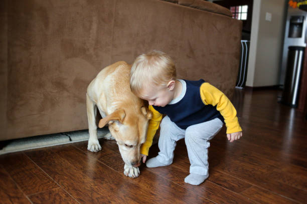 istock Pet Love Dog with boy 1184924709