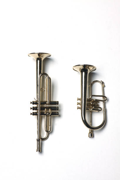 istock tuba and trumpet isolated on white background 1184925362