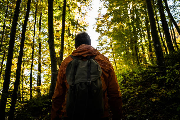 istock Male hiker walking through woods and exploring 1184926838