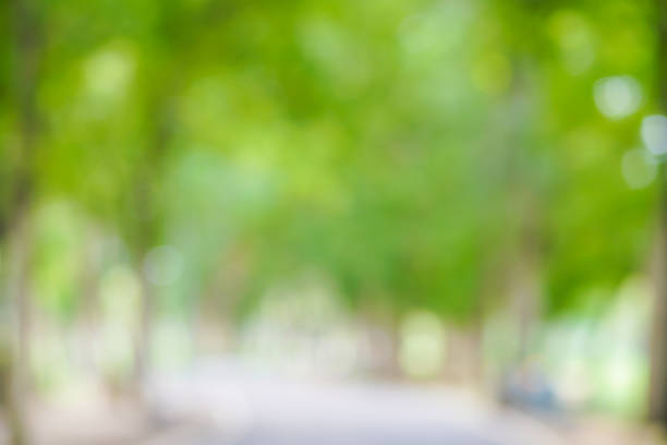 istock Abstract green park blurred background with bokeh nature 1184927930