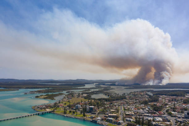 istock The town of Tuncurry. 1184928944