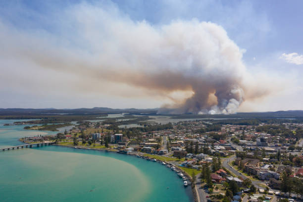 istock The town of Tuncurry 1184928953
