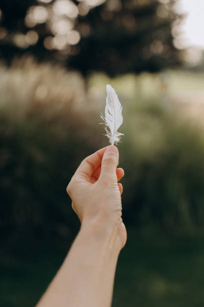 istock goose feather conceptual warmth softness light fluff 1184929300