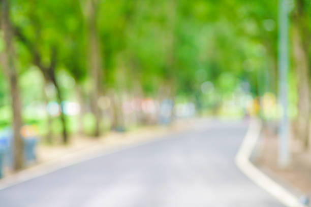 istock Abstract green park blurred background with bokeh 1184931348