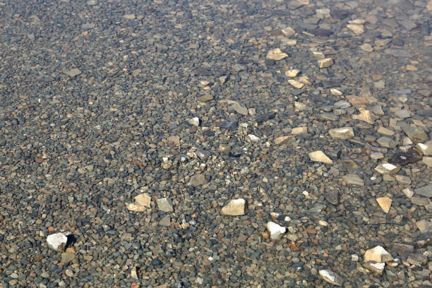 istock Natural small stones and cobblestones under water 1184932253