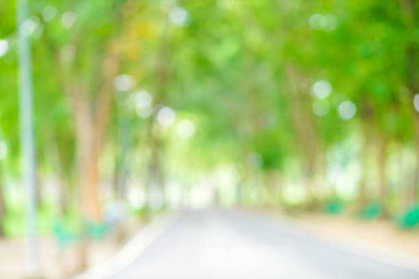 istock Abstract green park blurred background with bokeh 1184934217
