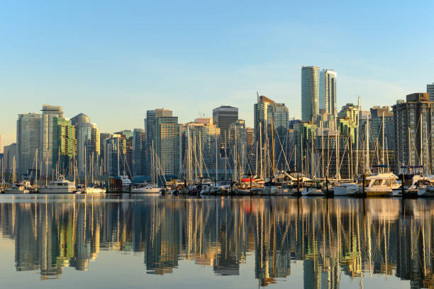 istock View of Vancouver's downtown waterfront from Stanley Park 1184939350