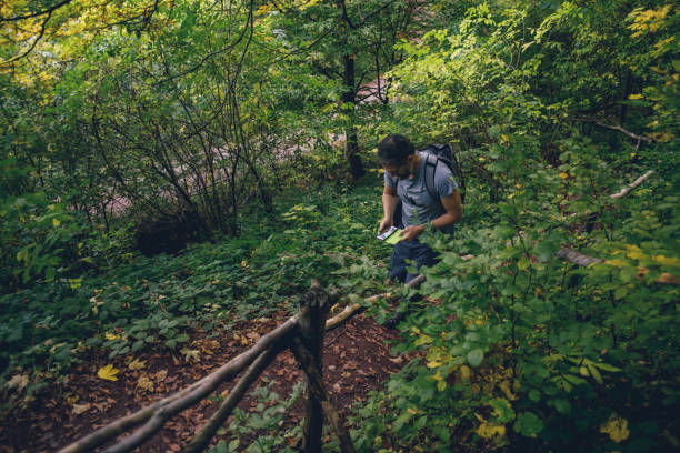istock Male hiker walking through woods and exploring 1184942615