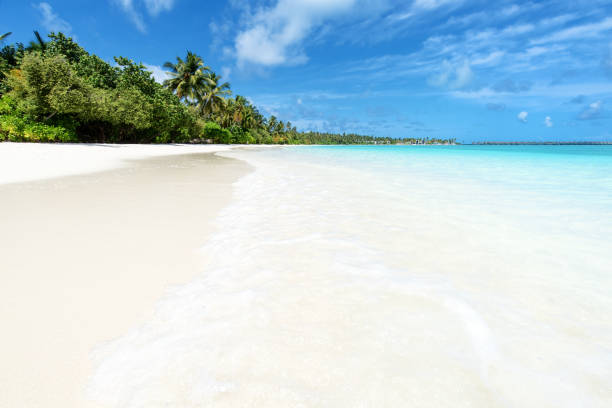 istock Maldives perfect paradise beach tropical island background 1184945401