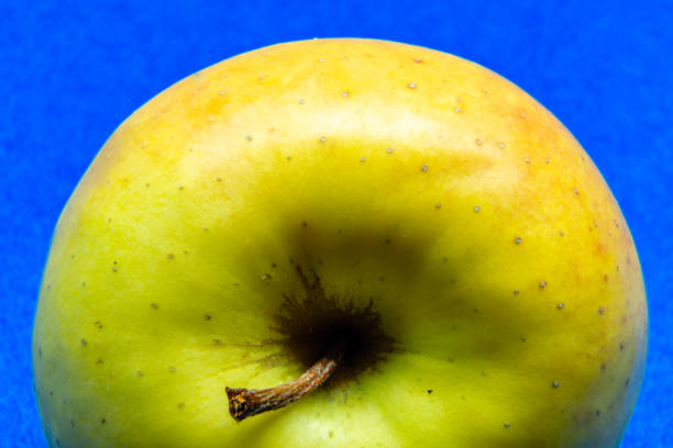 Apple in the blue background