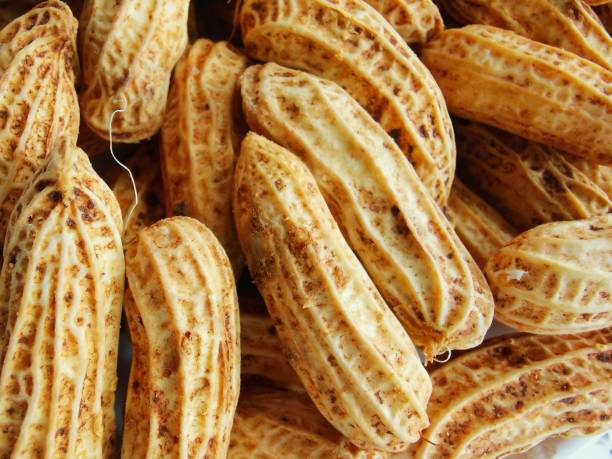 Boiled peanuts or the groundnut Snack