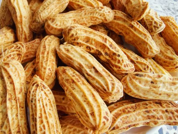 Boiled peanuts. peanuts texture background