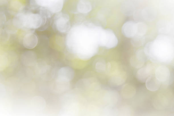 istock Natural spring blurred green leaves background. Create abstract green white light soft party in vintage style warm shimmering and faded colorful defocused circular modern. Gray silver shiny copy space 1184951210