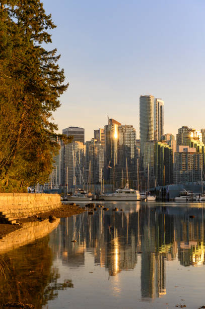 istock View of Vancouver from Stanley Park 1184955232