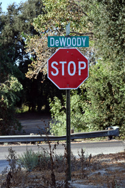istock a stop sign in countryside 1184955252
