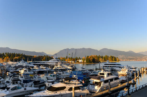 istock Coal Harbour in Vancouver, BC, Canada 1184955268