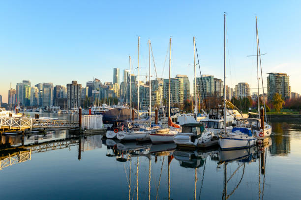 istock View of Vancouver's downtown waterfront from Stanley Park 1184955269
