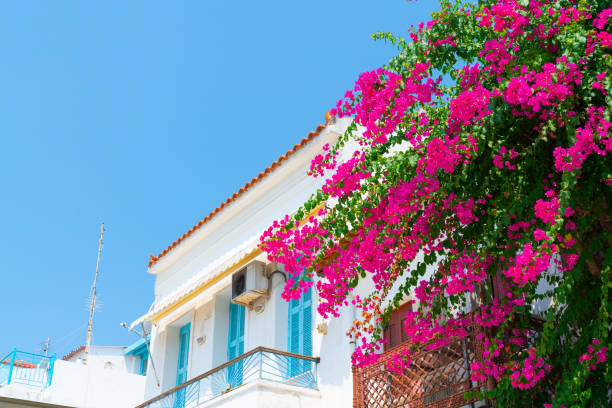 istock Greek island scene typical white architecture with flowers Greece 1184956767