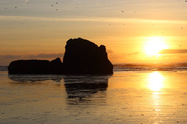 istock Spiritual Pacific Coastal Images 1184958599