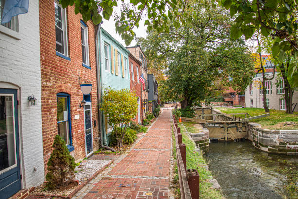 In the canals of Georgetown