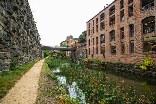 istock In the canal of Cheapskate 1184960422