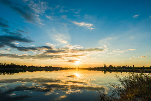 istock Sunset on the lake landscape 1184968253