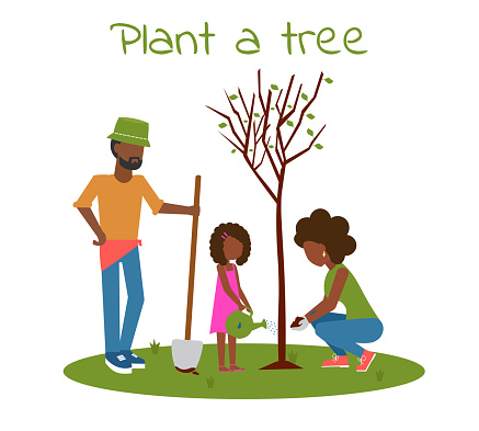 istock plant a tree afro 1184969286