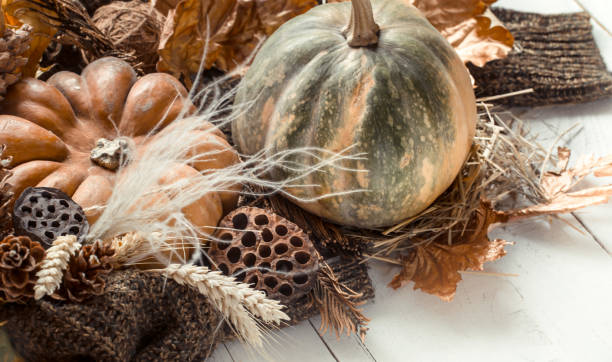 istock Autumn background with decorative items and pumpkin. 1184970163