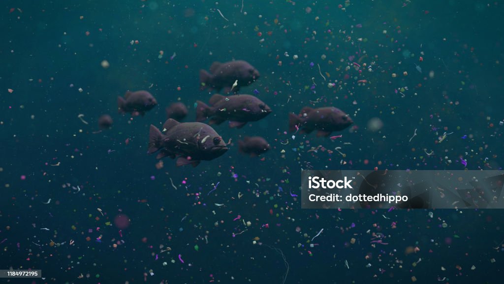 fish swarm swimming through plastic pollution, micro plastic particles in ocean water fish school between garbage, contamination problem, banner format Microplastic Stock Photo