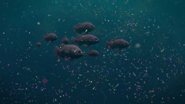 fish swarm swimming through plastic pollution, micro plastic particles in ocean water fish school between garbage, contamination problem, banner format microplastic stock pictures, royalty-free photos & images